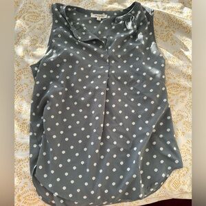 Light blue/gray Polka Dot blouse